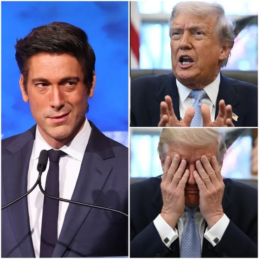 T.r.u.m.p Attacks Harvard’s ‘Smart Elite’ — Muir Fires Back With His SAT Truth Bomb - GMT - G1