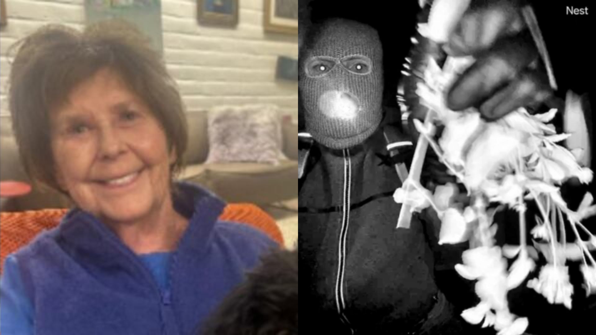 A MOTHER FOUND… A FAMILY SHATTERED: The Tragic Death of Nancy Guthrie and the Shocking Arrest That Revealed a Betrayal No One Saw Coming1!!!
