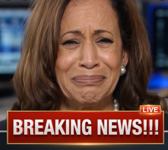 20 Minutes Ago In California, Kamala Harris Was Confirmed As!