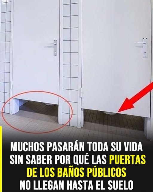 Por qué las puertas de los baños públicos no llegan hasta el piso: la explicación detrás de este curioso diseño -