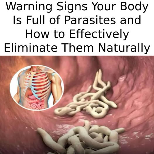 Tapeworms in Humans: Symptoms and Treatments (Pictures Included)