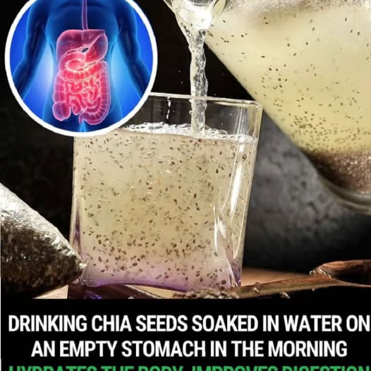 Science Explains 10 Things That Happen to Your Body When You Eat Chia Seeds
