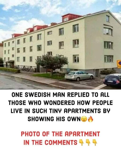 One Swedish man replied to all those who wondered how people live in such tiny apartments by showing his own.