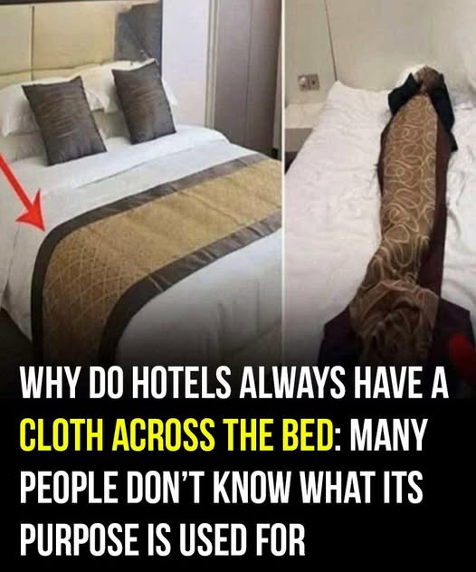 The reasons why hotel beds always have blankets on them.