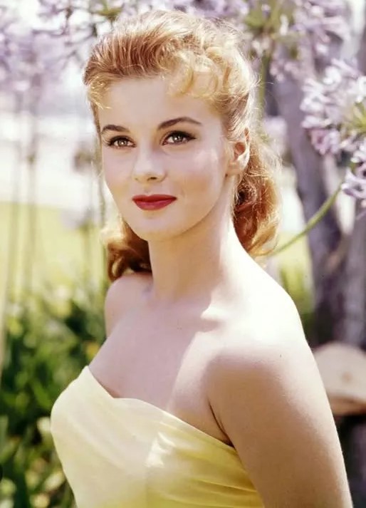 60s Hollywood Star Who Paused Career to Care for Sick Husband: What She Looks Like Now?(1)