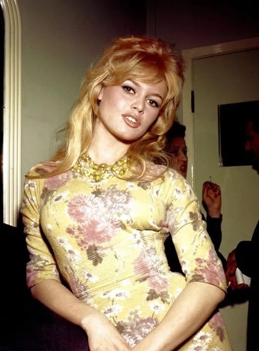 91-year-old Brigitte Bardot has finally spoken up to address the rumors about her health.