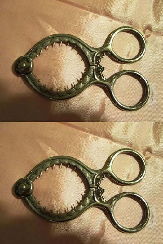 What Is This Kitchen Tool Actually Used For?
