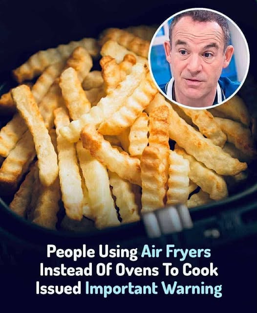 Experts caution against using air fryers instead of ovens.