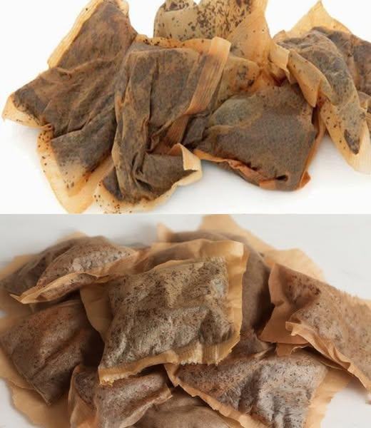 Teabags -7 household remedies that show why you should never throw away a used teabag again