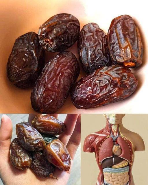 Eat four dates a day, Nature’s candy packed with nutritional power