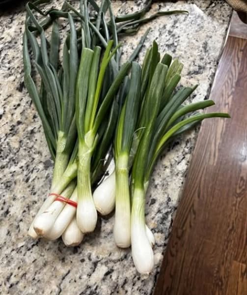 Doctors reveal that eating green onions causes …