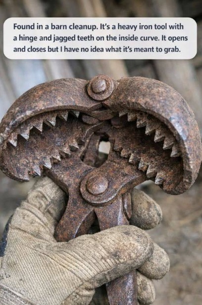 The Forgotten Farm Tool That Once Made Harvest Work Easier