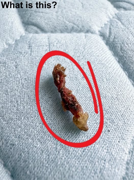 Does anyone know what this could be?  And I received the results.