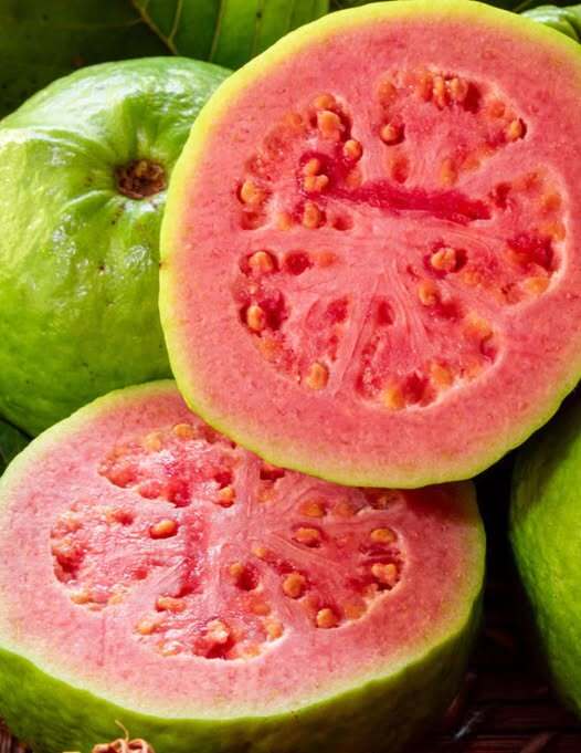 Doctors reveal that guava leaf tea causes…