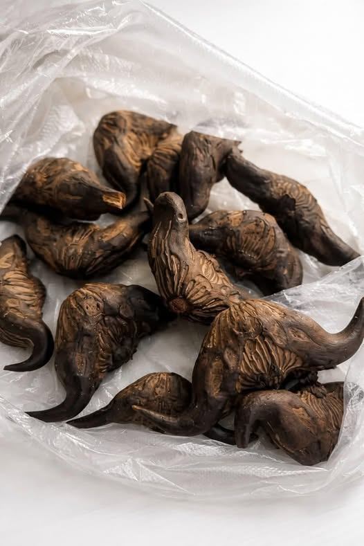 My neighbor gave me a bag of these.anyone know what they are How do you eat them