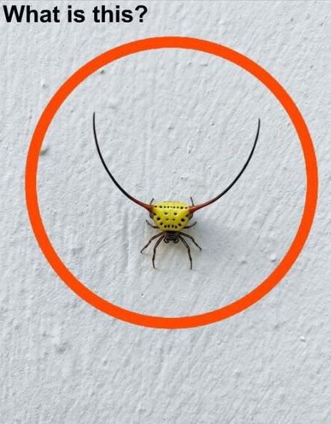Does anyone know what this is? This is the answer.