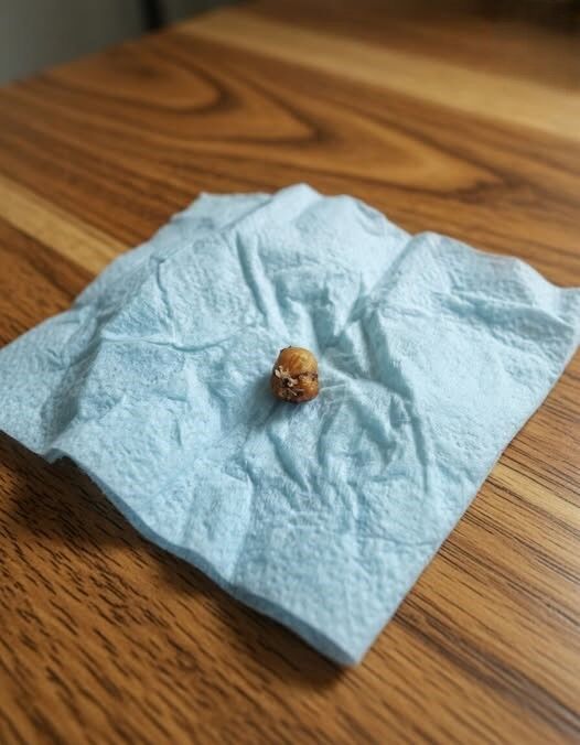 Does anyone know what this could be? What is it?