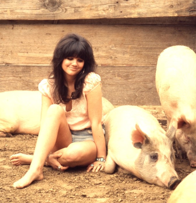 Linda Ronstadt – Tumbling Dice (Live in Houston, Nov 17, 1977)