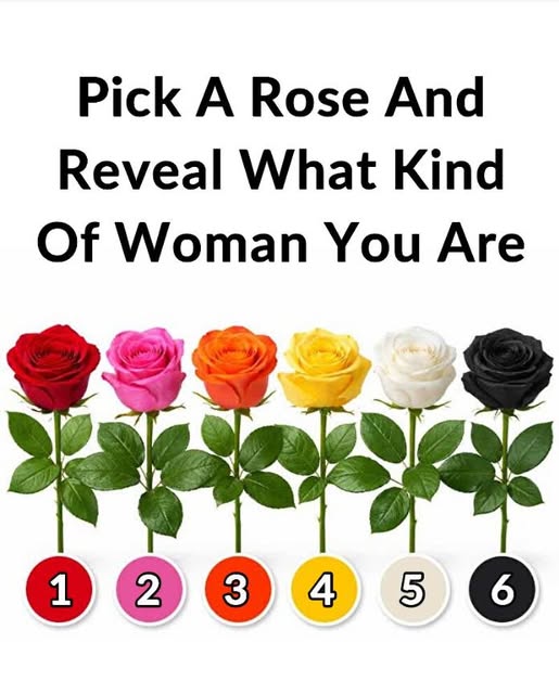 Pick A Rose And Reveal What Kind Of Woman You Are