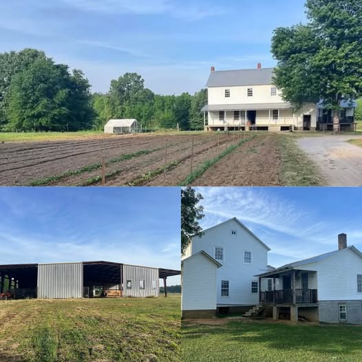 31 Acres + Massive Shop – Amish Farmhouse Opportunity. $239,000