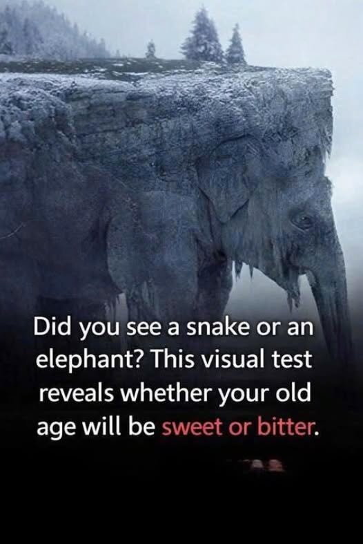 This visual test reveals whether your old age will be sweet or bitter...