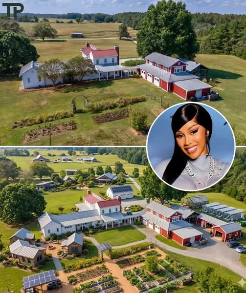 Cardi B shocks fans by buying back a Bronx property and transforming it into Bardi House, a 3 million community shelter for women and children, rewriting her legacy from hardship to hope.