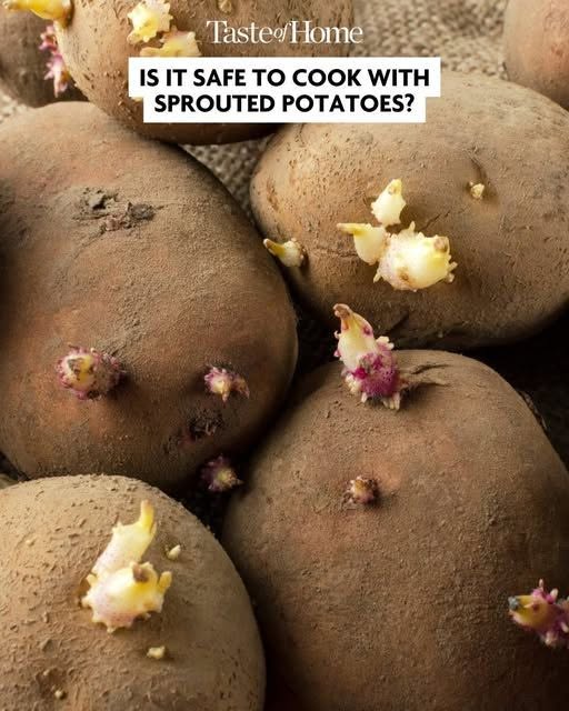 Can You Eat Sprouted Potatoes