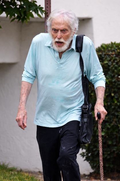 Iconic Star, 85, Seen with Walker Days After Ex-Wife’s Dementia News!: Can You Guess Who?