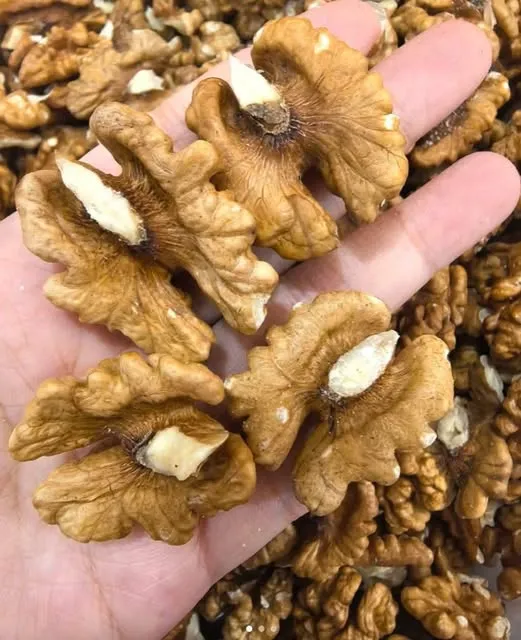 Doctors Reveal the Incredible Benefits of Eating Walnuts Daily