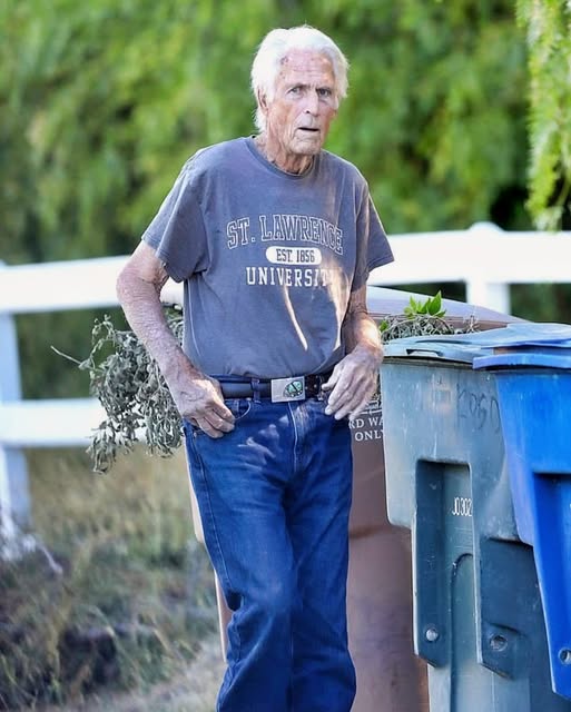 Veteran Hollywood Actor Spotted at 83 in Rare Paparazzi Photos: Can You Recognize Him?