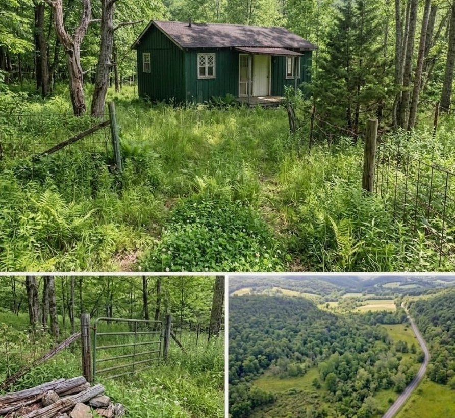 $19,000 No neighbors, no noise. Price cut: $6K...See More