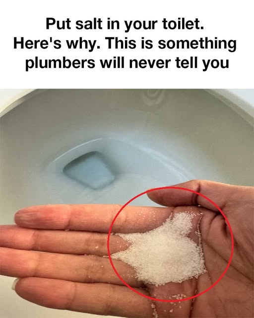 Put salt in your toilet. Here's why. This is something plumbers will never tell you