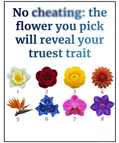 The flower you pick will reveal your truest trait...