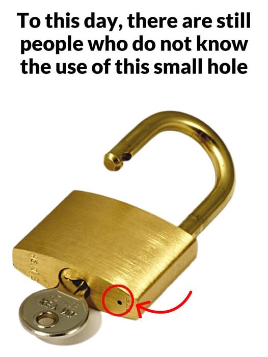 Little-Known Truth About The Small Hole In The Lock!!!