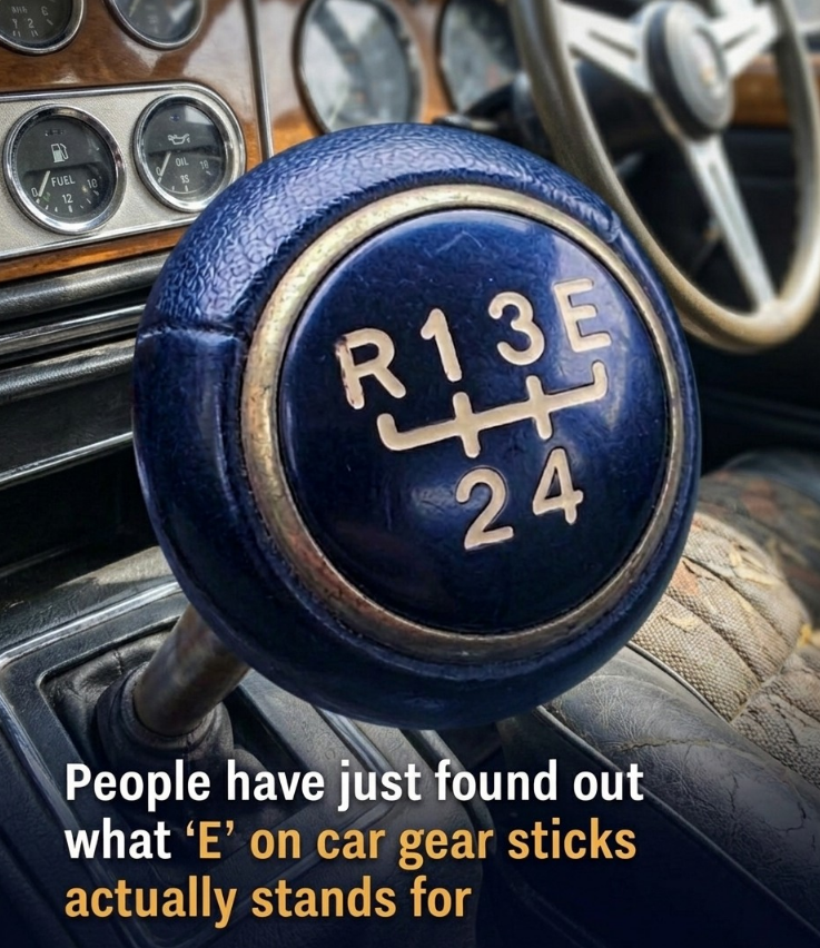 People have just found out what 'E' on car gear sticks actually stands for