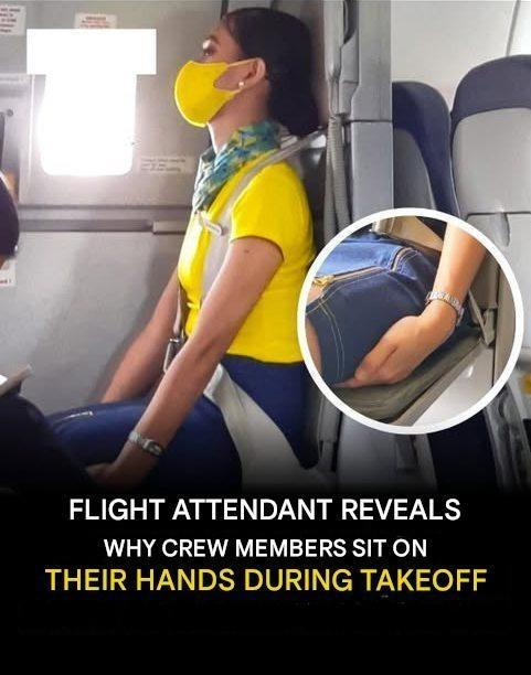Here Why Flight Attendants Sit on Their Hands During Takeoff and Landing ,...