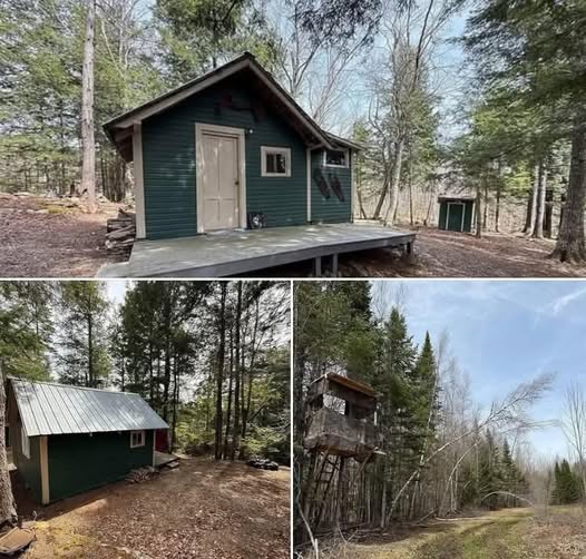 Such a cozy forest retreat! 71 Acres. C$13...!!!!!! check out , you won't believe the views.