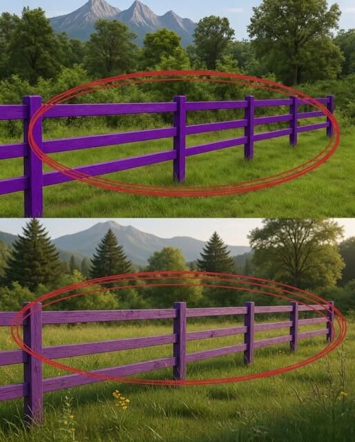 What's the meaning behind purple fences?