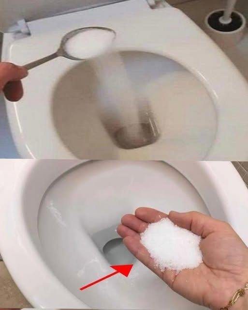 Put salt in the toilet. Its effects...