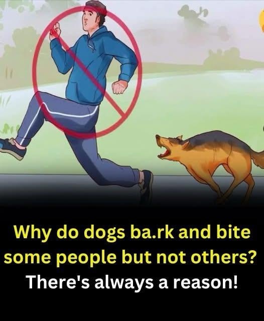 There's always a reason!