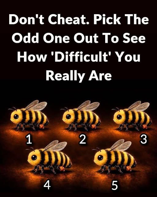 Pick The Odd One Out To See How 'Difficult you really are