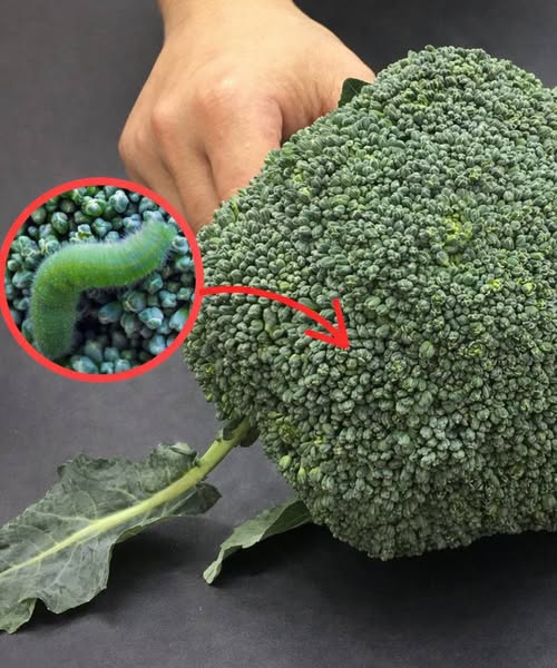 Washing broccoli with just water is wrong: This is the right way.
