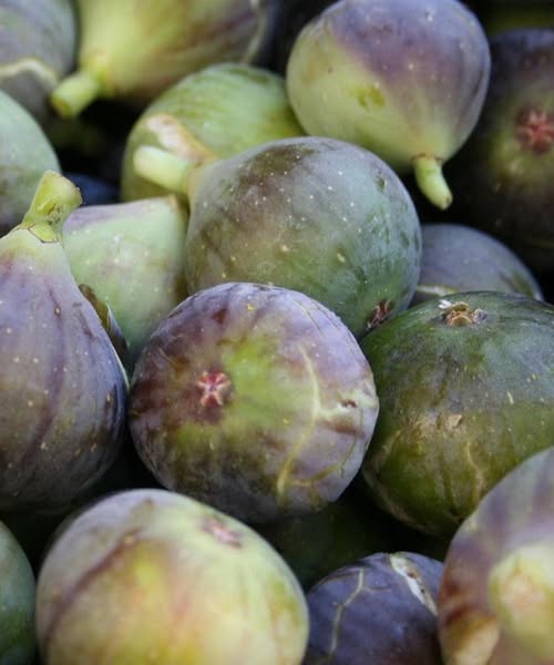 Doctors reveal that eating figs causes...