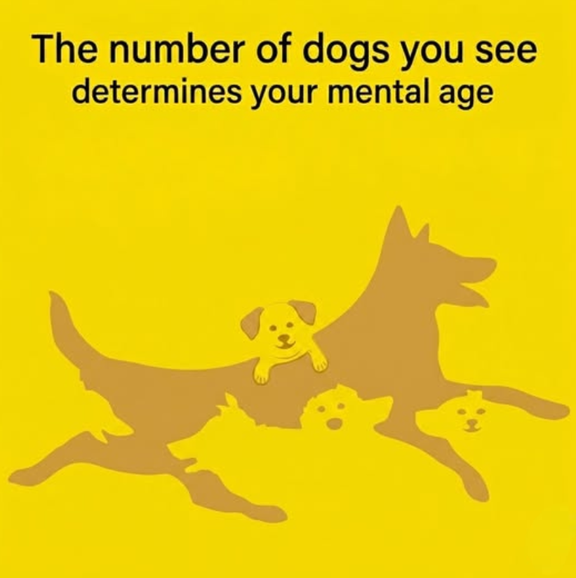 The number of dogs you see in this picture determines your mental age