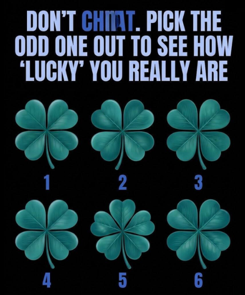 PICK THE ODD ONE OUT TO SEE HOW 'LUCKY' YOU REALLY ARE