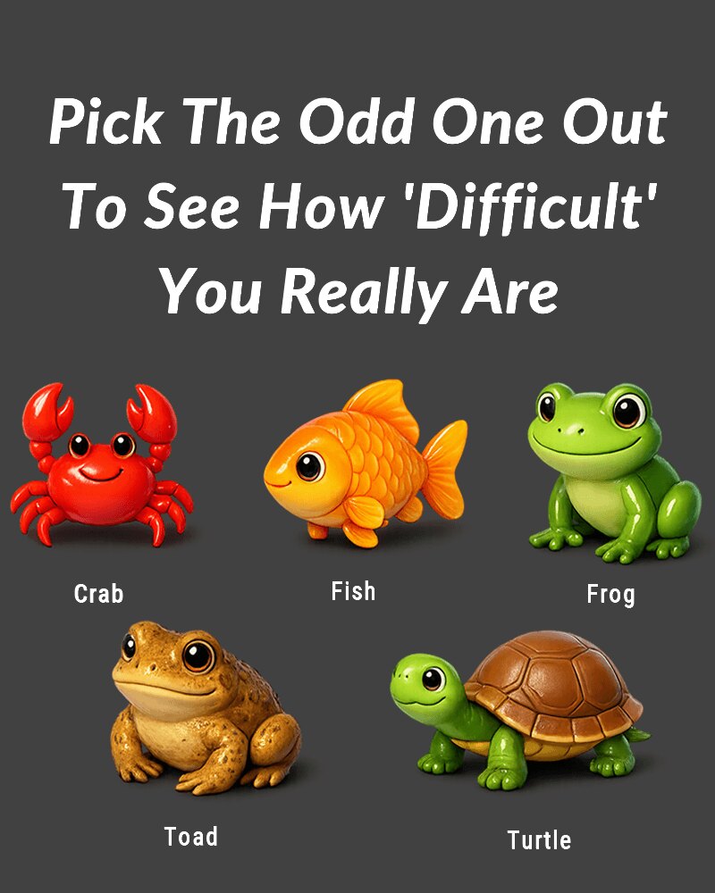 Pick The Odd One Out To See How ‘Difficult’ You Really Are...