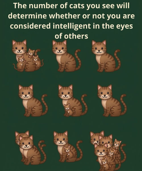 The number of cats you see will determine whether or not you are considered intelligent in the eyes of others.