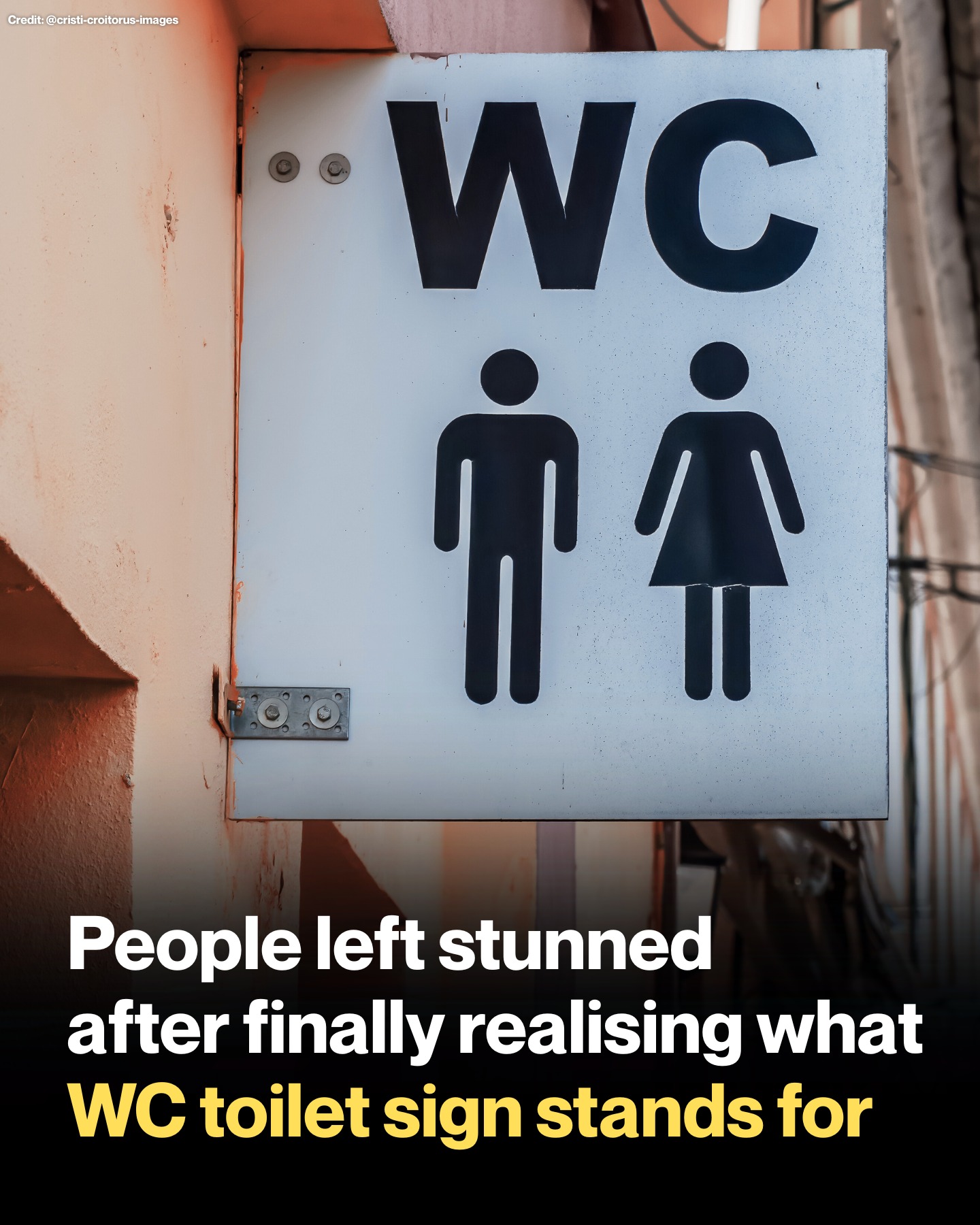 Why Do We See “WC” and Toilet Icons Everywhere?