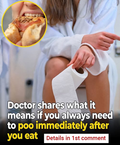 Doctor shares what it means if you always need to poo immediately after you eat...