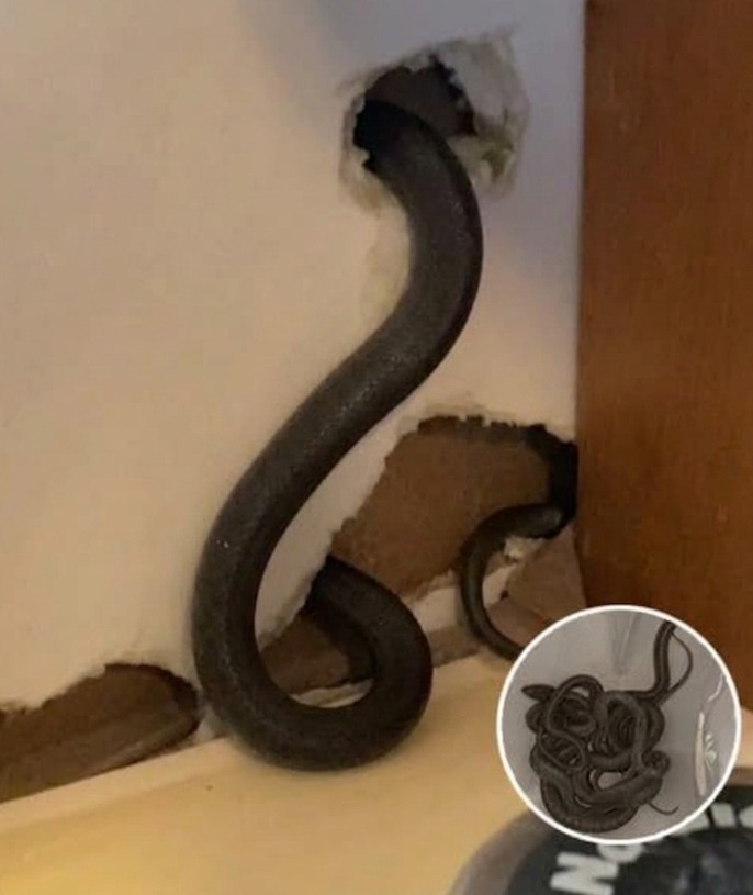 That's when Amber took a closer look at the wall, and what she found makes...